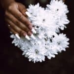 person holding white petaled flowers