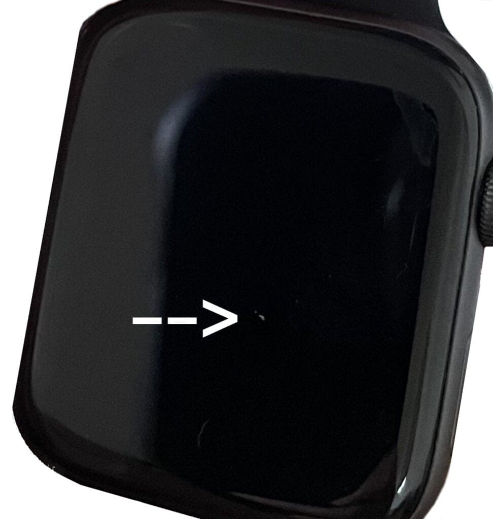 Apple Watch Nick / Crack Repair