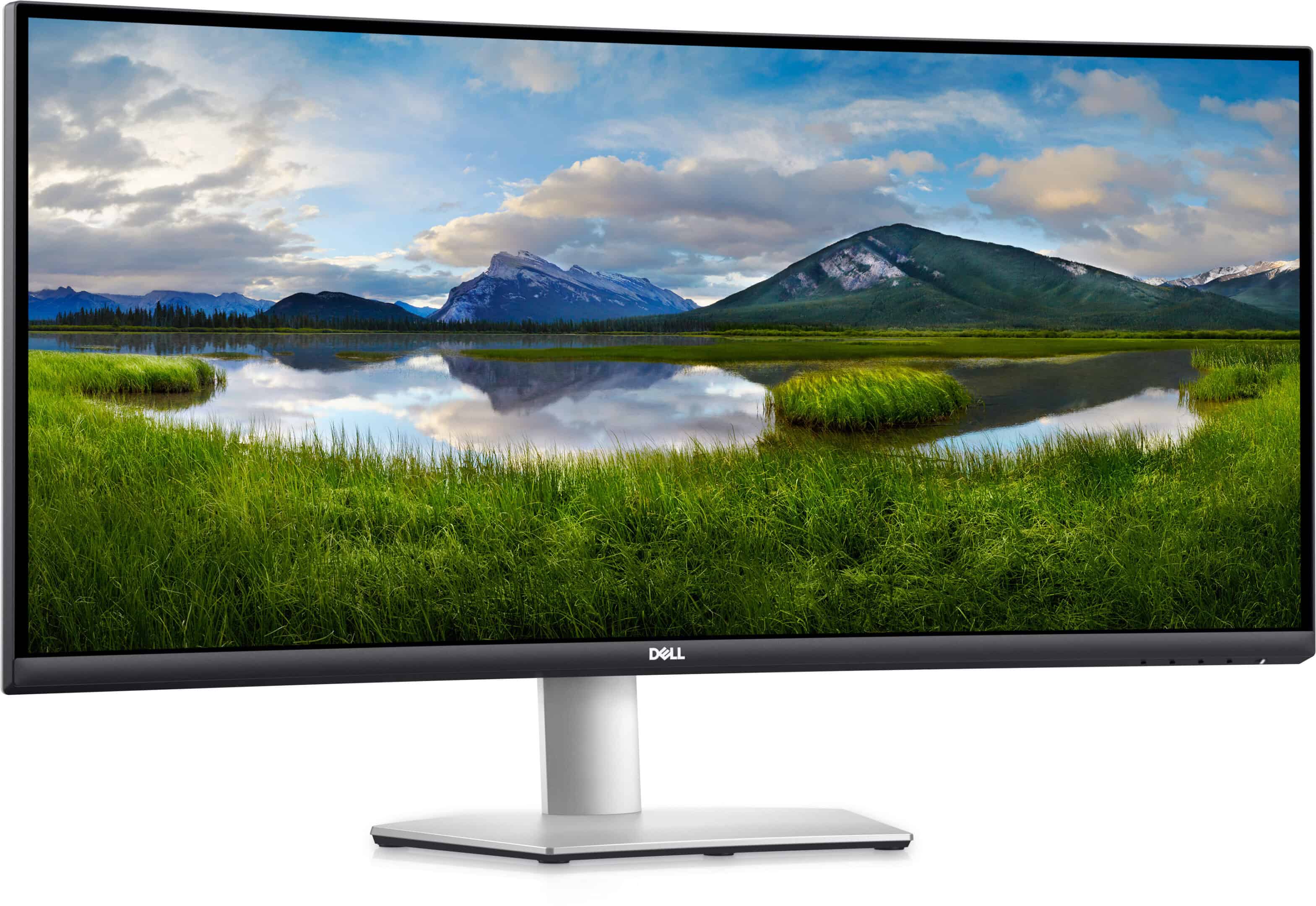 Dell Monitor