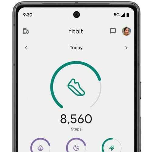 Fitbit App