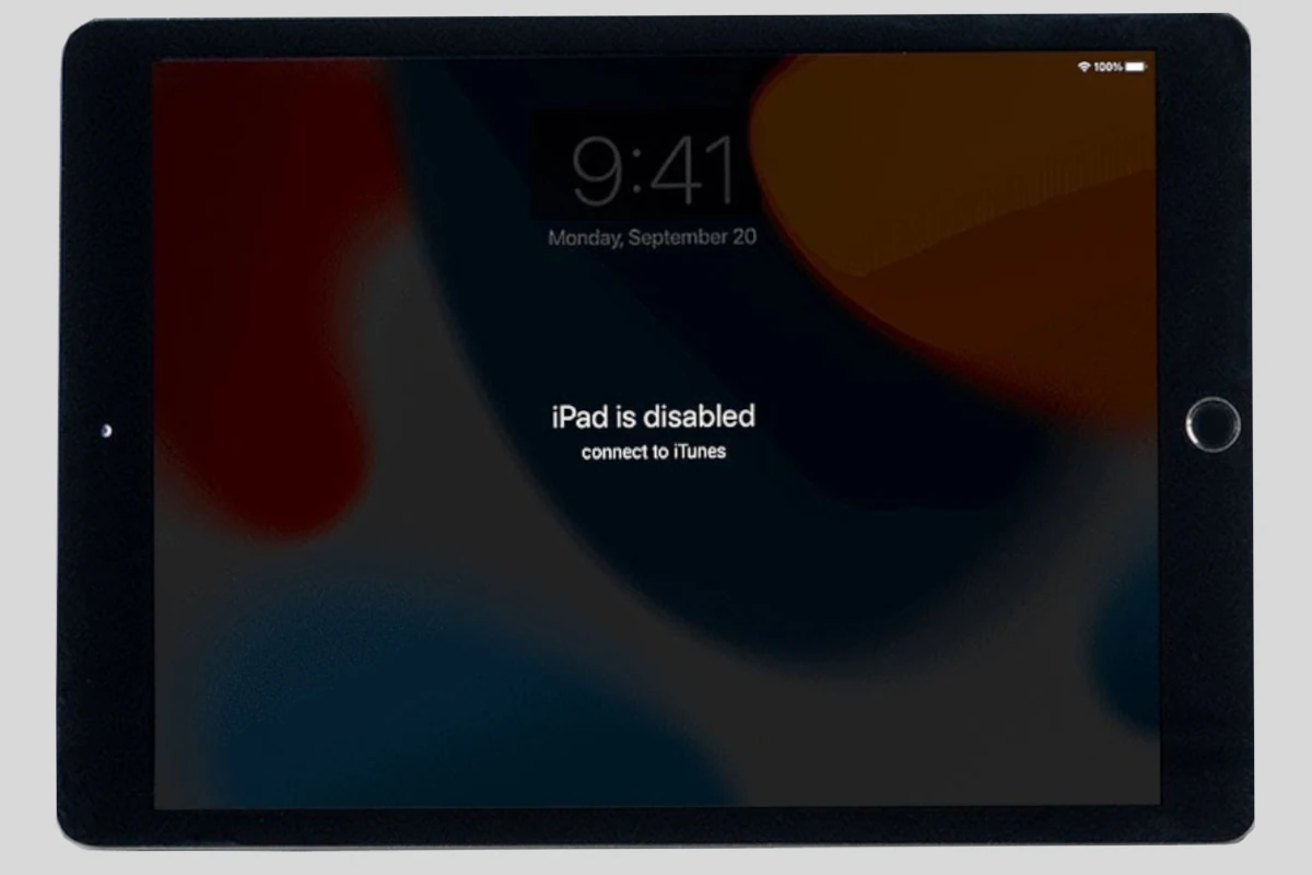 iPad Is Disabled