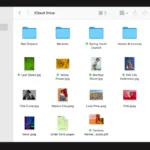 MacOS Files